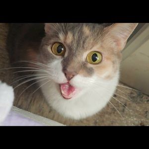 Meet your Posher, Shawn